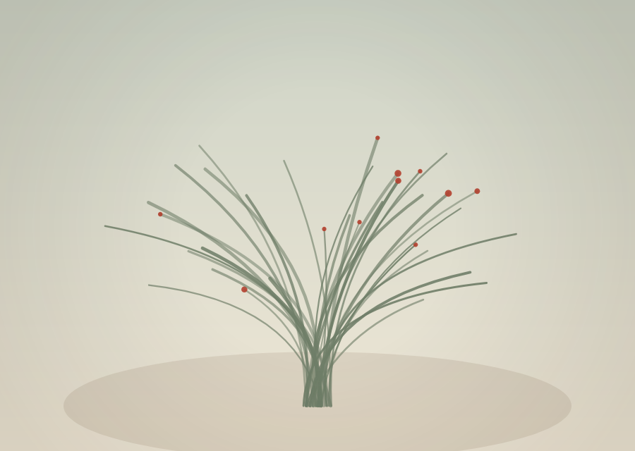 Pingo-pingo (Ephedra breana · E. chilensis)